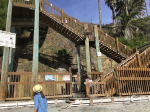 Swami's Beach Staircase Beaches of Encinitas