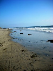 South View Boneyards Beach