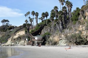 Swami's Beach Staircase bluffs palm trees