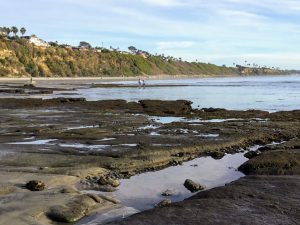 Swamis State Beach Tide Pools