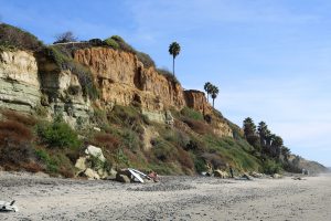 South Swami's Beach cliffs vegetation sand