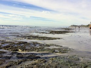 San Elijo Tidepools Beaches of Encinitas