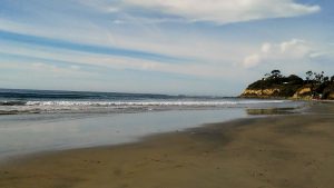 Swami's State Beach Beaches of Encinitas