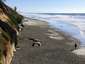 South View Grandview Beach Beaches of Encinitas