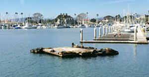 1540 North Oceanside Harbor Manfred Marine unlimited