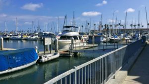 1900 N Oceanside Harbor San Diego whale watching tours