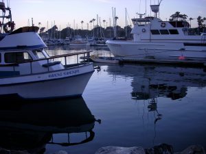 Oceanside Harbor San Diego whale watching tours