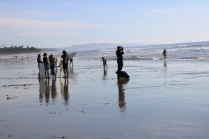 People on the Beach Cardiff State Beach