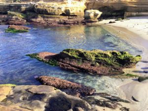 Childrens Pool La Jolla Coast Walk