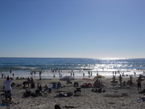 Moonlight State Beach Beaches of Encinitas