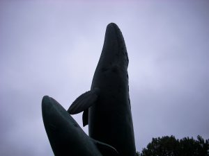 Birch Aquarium Whale Fountain