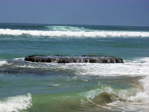 Swami's Tidepools Beaches of Encinitas