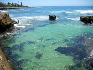 Childrens Pool Beach La Jolla Coast Walk