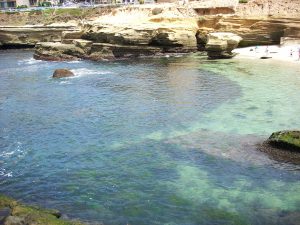 Childrens Pool Beach La Jolla