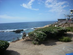 Wipeout Beach La Jolla