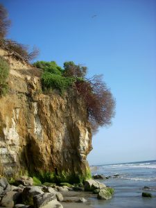 Boneyard Beach Cliffs Beaches of Encinitas