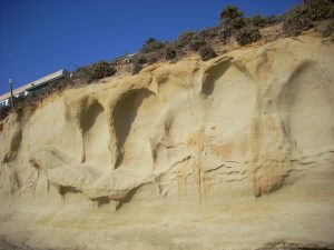 D Street Bluff Beaches of Encinitas