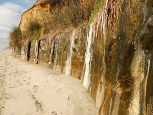 Boneyard Beach Cliffs seeping water