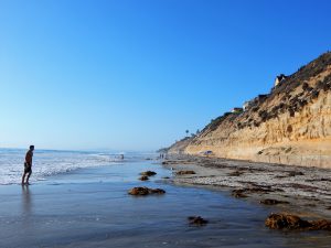 North View Boneyard Beach