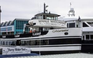 Flagship Whale Watching Docked San Diego Bay