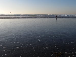 Fishing at Boneyard Beach