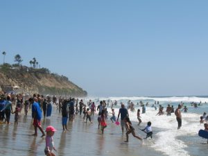 Summer Day At Moonlight Beach