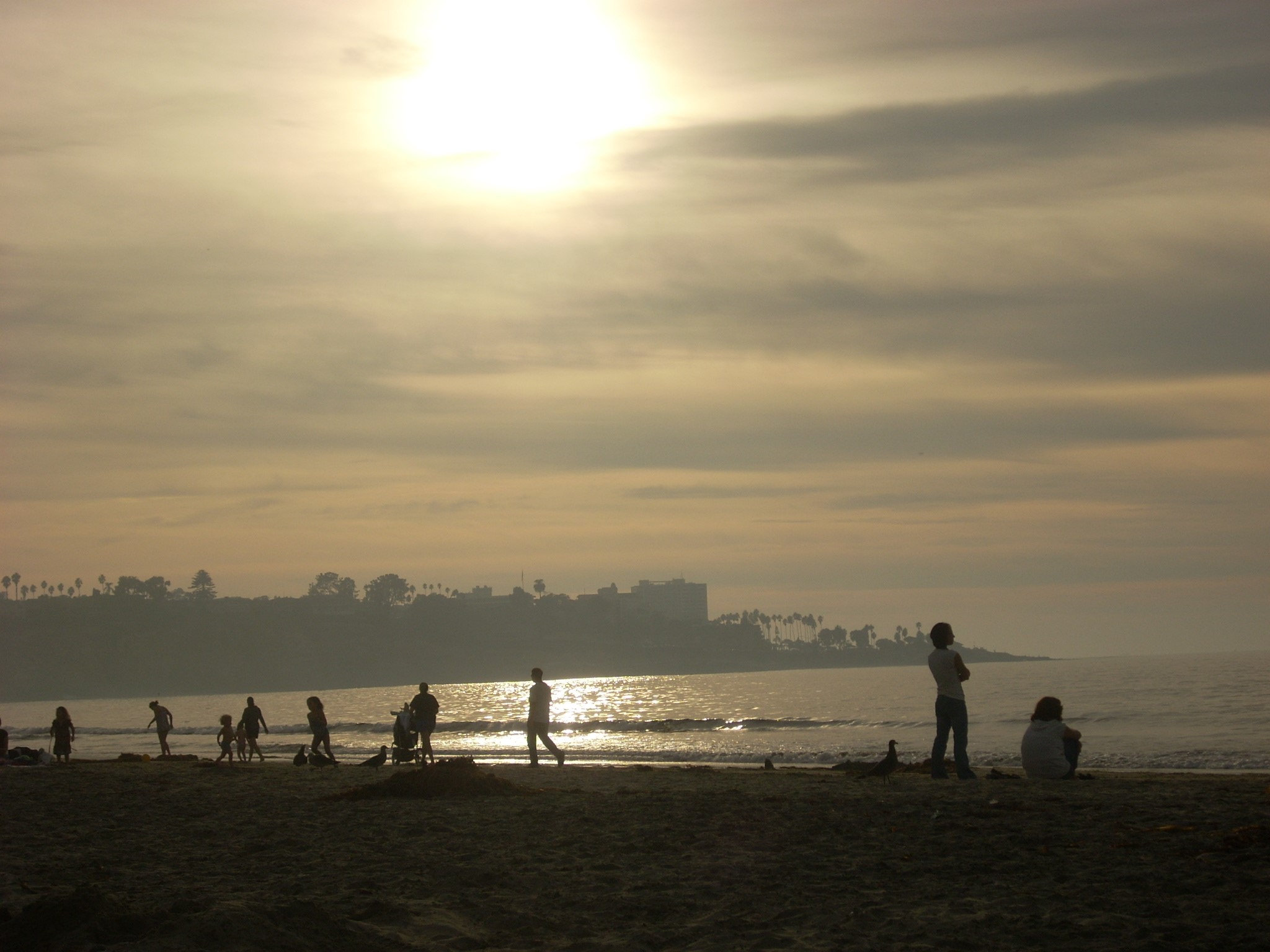 Showcasing the Best Beaches of La Jolla San Diego Beach Secrets