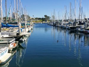 North Oceanside Harbor San Diego whale watching tours