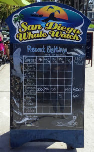 San Diego Whale Watch Sign Mission Bay