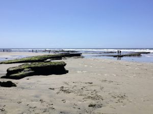 South Cardiff State Beach Beaches of Encinitas