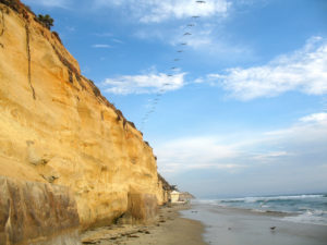 Stonesteps Beach wet sandy shore twenty brown pelicans sky