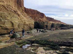 Upper High Intertidal Cabrillo National Monument