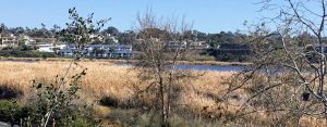 Buena Vista Lagoon San Diego Lagoons