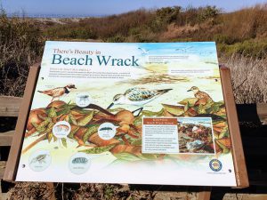 Beach Wrack Sign South Ponto Beach