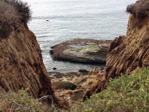 Tidal Shelf Cabrillo National Monument