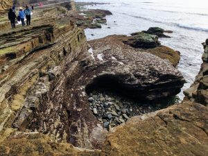 tidal bluffs exposed mid intertidal zone