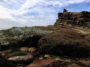 Middle Intertidal Zone Cabrillo National Monument