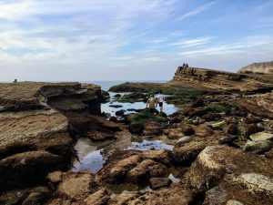 Tidepools Cabrillo National Monument