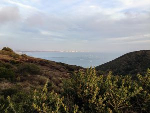 Point Loma Cliffs San Diego Bay