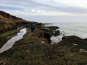 Upper Intertidal Zone tidepools