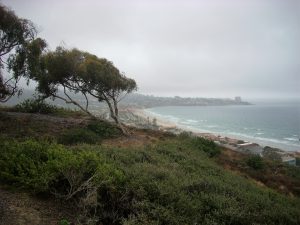 View from Birch Aquarium