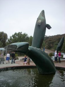 Gray Whale Fountain Birch Aquarium Entrance