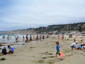 La Jolla Shores Beach View child running people by water