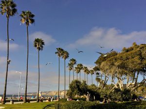 Kellogg Park La Jolla Shores Beach