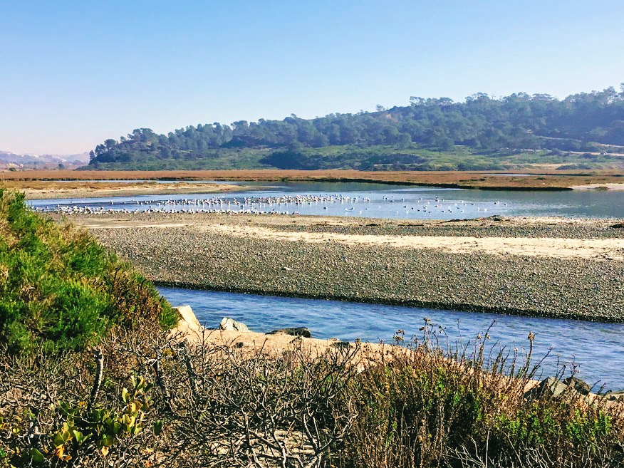 los penasquitos lagoon torrey pines 2018