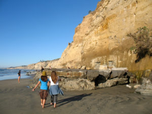 Scripps beach bluffs rocks sandy shore