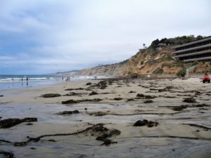 Scripps Beach After Pier La Jolla Shores Beach