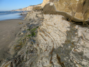 Scripps Bluffs la jolla shores beach