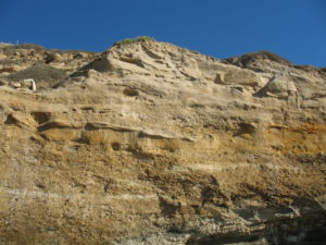 Scripps Bluffs Scripps coastal reserve