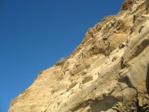 Scripps Bluffs la jolla shores beach